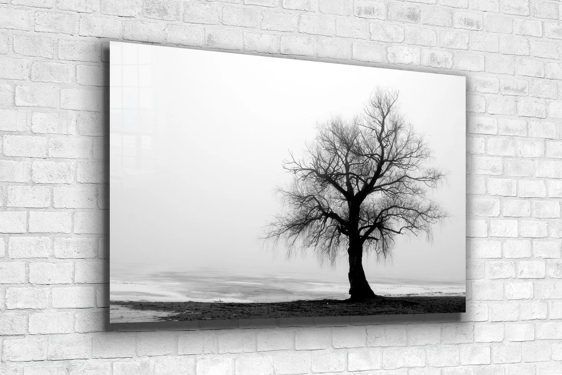 Alone Tree B&W View UV Direct Aluminum Print Australian Made Quality