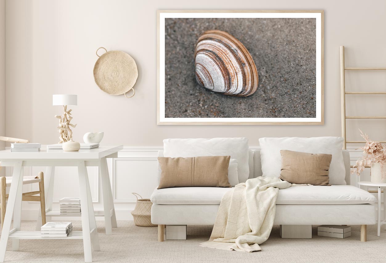 Close-Up Of Shell in The Sand on The Beach Home Decor Premium Quality Poster Print Choose Your Sizes - Bella Home Decor