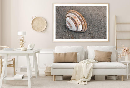 Close-Up Of Shell in The Sand on The Beach Home Decor Premium Quality Poster Print Choose Your Sizes - Bella Home Decor