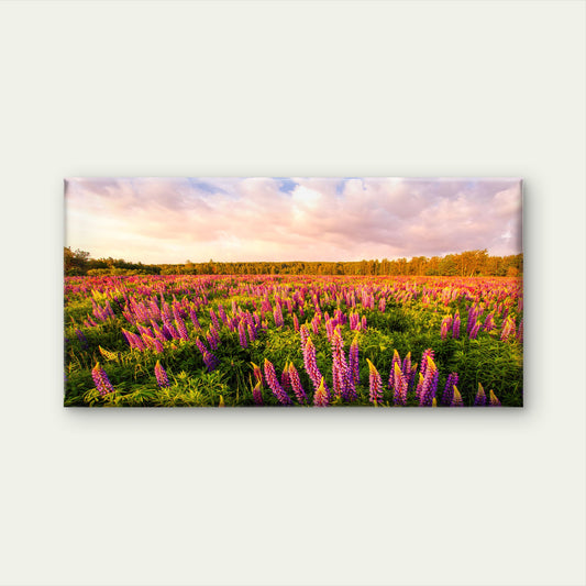 Iceland Lupine Field Sunset Wall Art Canvas Office Home Room Framed 120x60cm