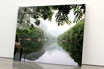 Lake in the Forest Surrounded By Trees Acrylic Glass Print Tempered Glass Wall Art 100% Made in Australia Ready to Hang