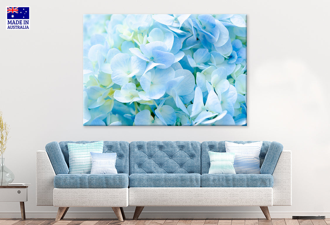 Soft Blue Hydrangea Close-Up Wall Art Decor 100% Australian Made