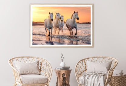 White Horses Running Through the Water at Sunset Home Decor Premium Quality Poster Print Choose Your Sizes