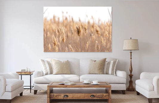 Stunning Faded Beige grass 90x60cm Print 100% Australian Made