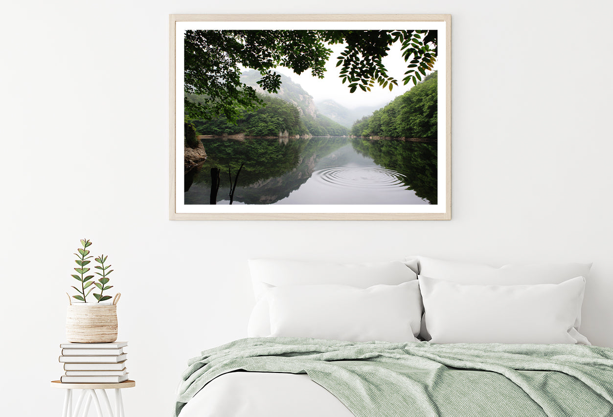 Lake in the Forest Surrounded By Trees Home Decor Premium Quality Poster Print Choose Your Sizes