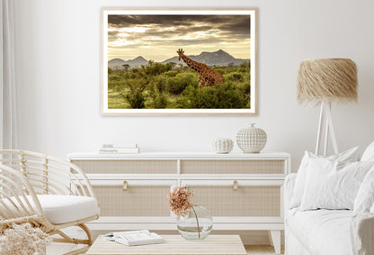 Giraffe Walking Through the Grasslands in Kenya Home Decor Premium Quality Poster Print Choose Your Sizes - Bella Home Decor