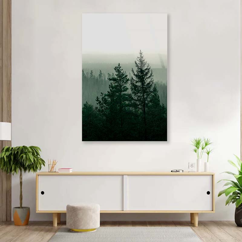 Foggy Magical Forrest Acrylic Glass Print Tempered Glass Wall Art 100% Made in Australia Ready to Hang