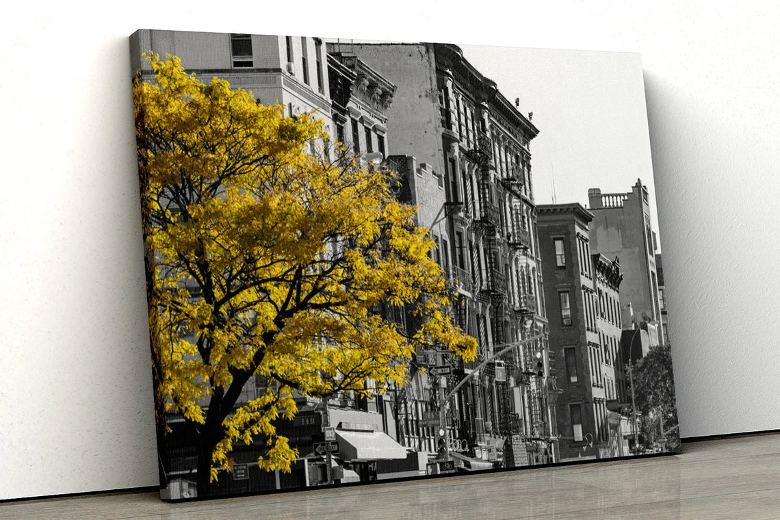 Yellow tree Black and White city UV Direct Aluminum Print Australian Made Quality