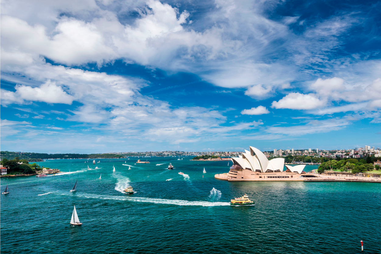 Sydney Cityscape and Yachts in Harbour Wall Art Decor 100% Australian Made