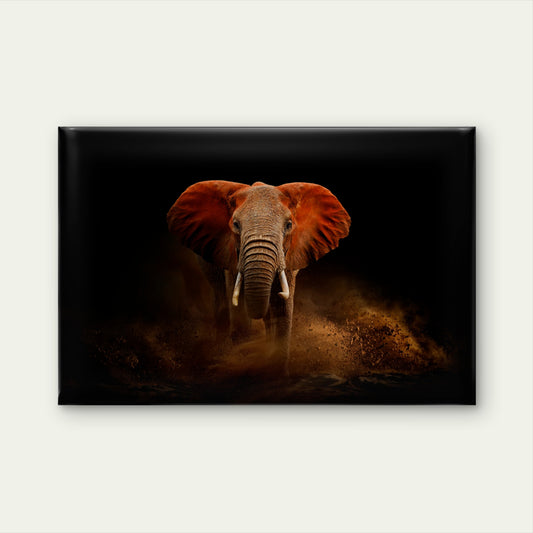 African Elephant Dust Portrait Wildlife Wall Art Decor 100% Australian Made
