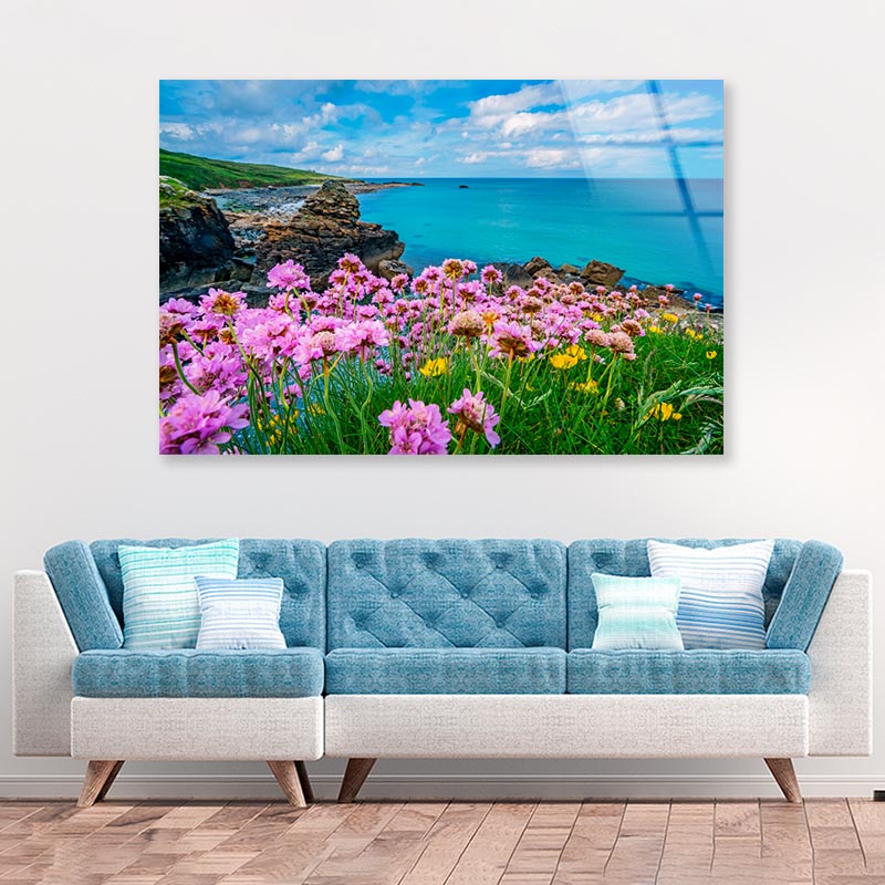 Pink Sea Thrift Flower Acrylic Glass Print Tempered Glass Wall Art 100% Made in Australia Ready to Hang