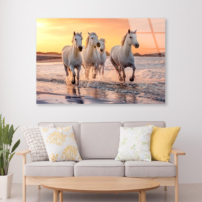 White Horses Running Through the Water at Sunset Acrylic Glass Print Tempered Glass Wall Art 100% Made in Australia Ready to Hang - Bella Home Decor