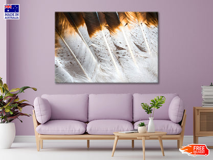 Bunch of White and Brown Feathers Print 100% Australian Made - Bella Home Decor