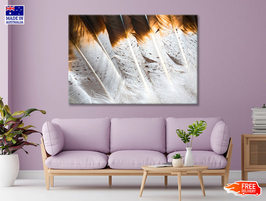 Bunch of White and Brown Feathers Print 100% Australian Made - Bella Home Decor