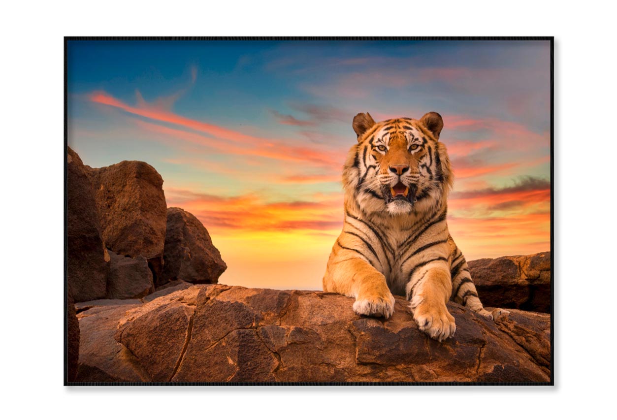 Solitary Adult Bengal Tiger Home Decor Premium Quality Poster Print Choose Your Sizes - Bella Home Decor