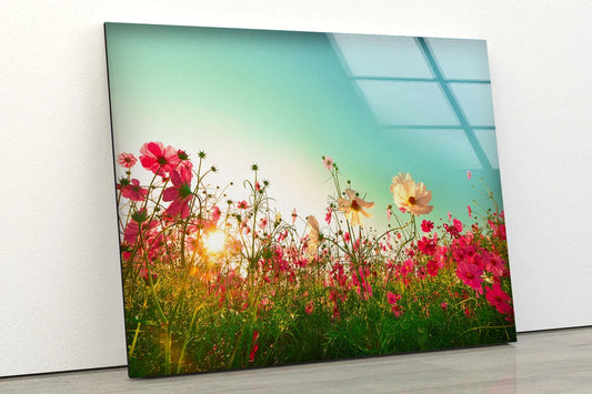 Poppy Flower Field UV Direct Aluminum Print Australian Made Quality