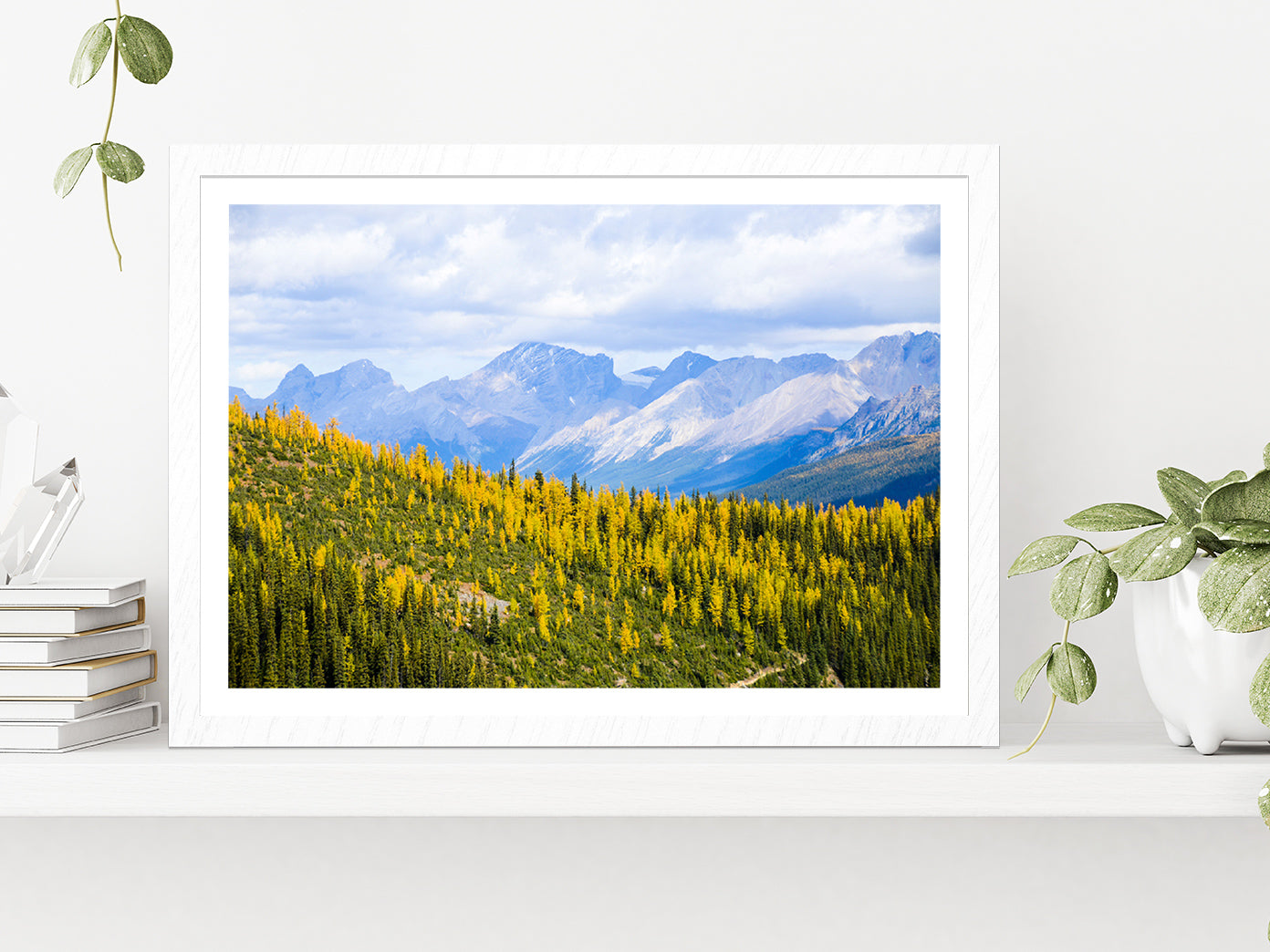 Yellow Leaves Mountain In Autumn Glass Framed Wall Art, Ready to Hang Quality Print With White Border White