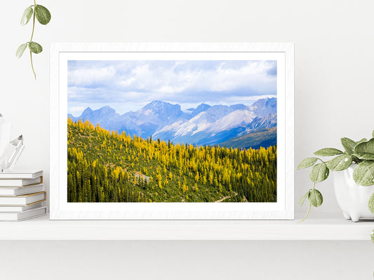 Yellow Leaves Mountain In Autumn Glass Framed Wall Art, Ready to Hang Quality Print With White Border White