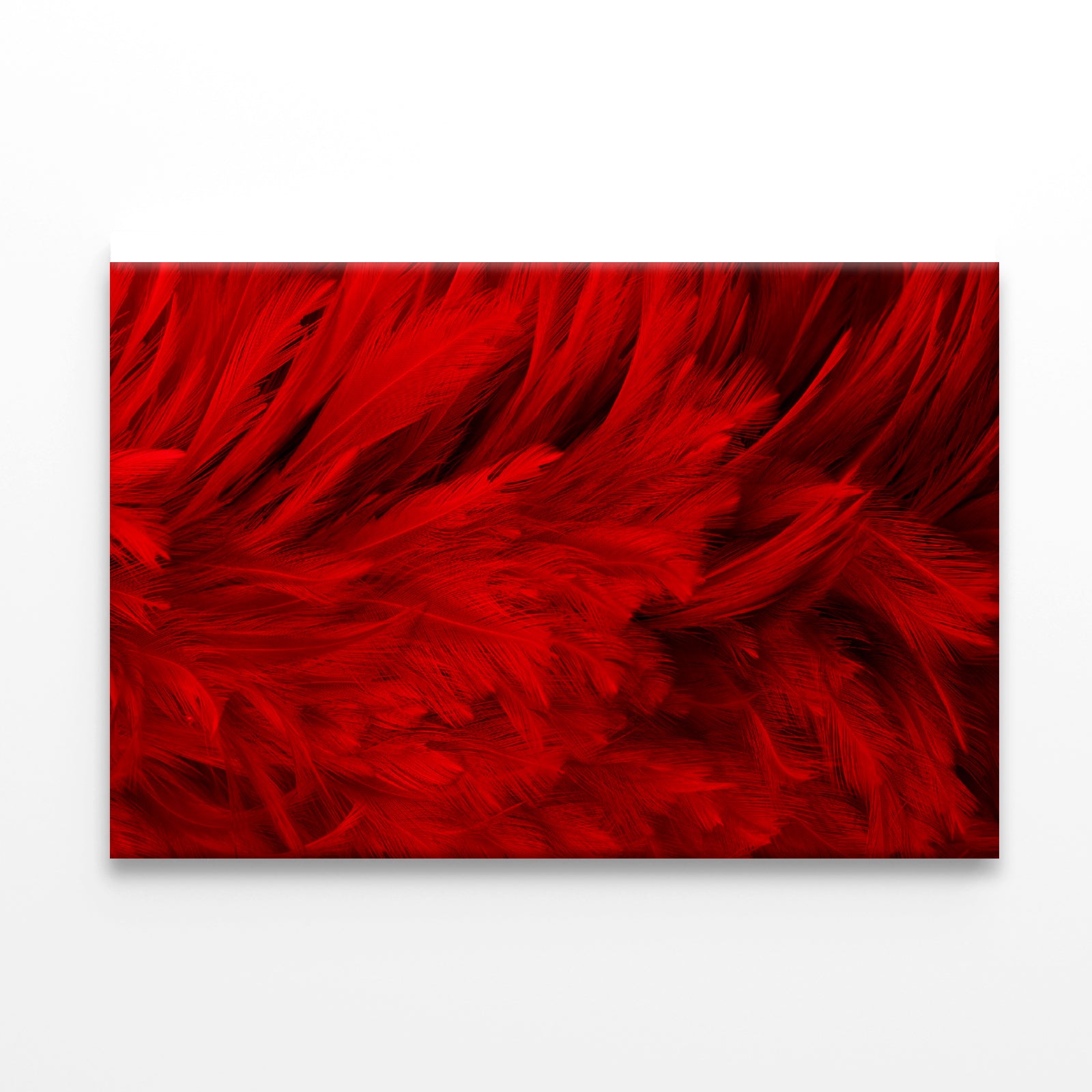 Dark Red Feathers in Close-Up Print 100% Australian Made - Bella Home Decor