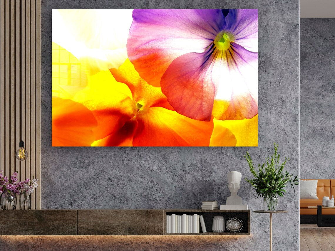 Colorful Flower Closeup UV Direct Aluminum Print Australian Made Quality