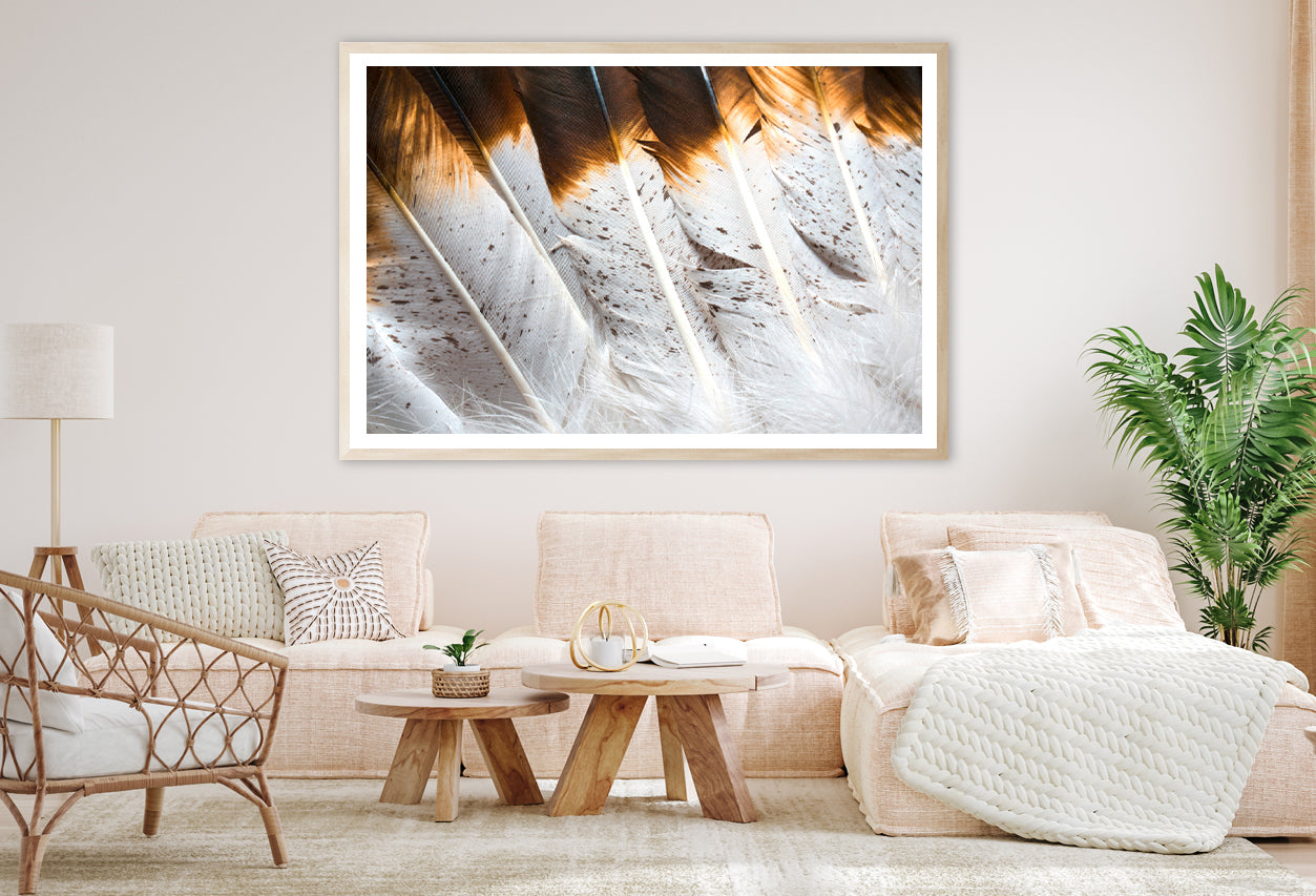 Bunch of White and Brown Feathers Home Decor Premium Quality Poster Print Choose Your Sizes