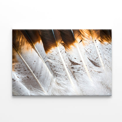 Bunch of White and Brown Feathers Print 100% Australian Made - Bella Home Decor