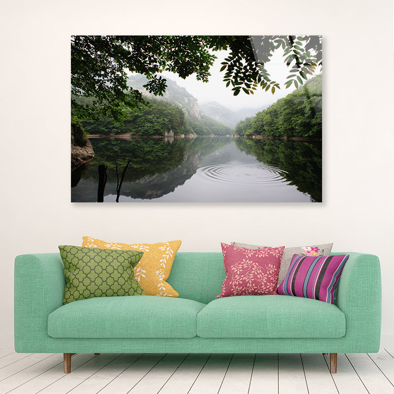 Lake in the Forest Surrounded By Trees Acrylic Glass Print Tempered Glass Wall Art 100% Made in Australia Ready to Hang