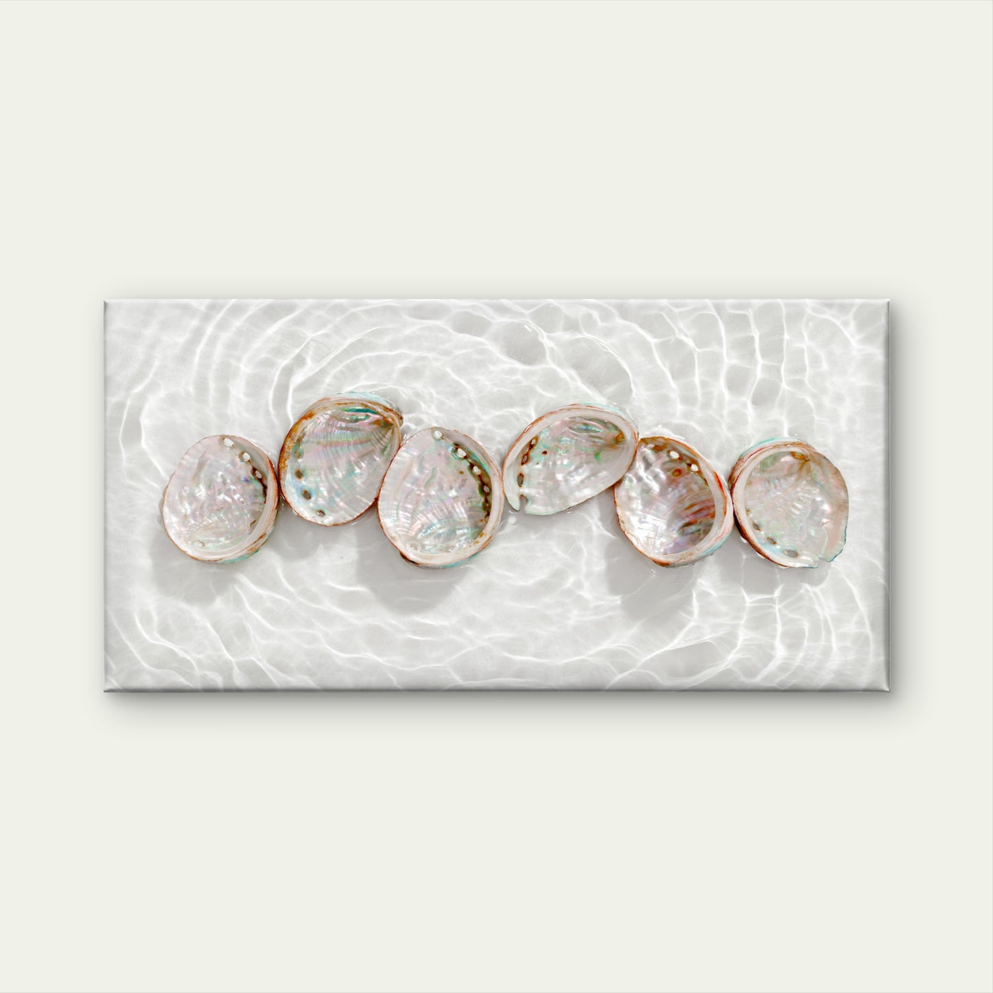 Iridescent Abalone Shells In Water Wall Art Canvas Office Home Room Framed 120x60cm