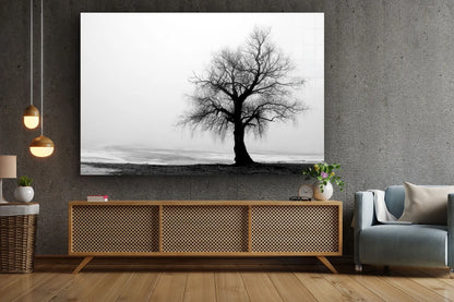 Alone Tree B&W View UV Direct Aluminum Print Australian Made Quality