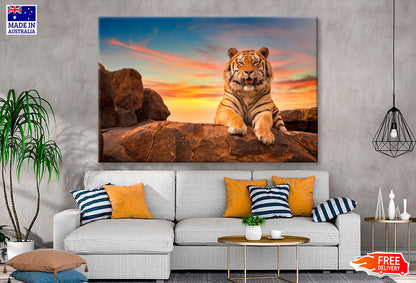 Solitary Adult Bengal Tiger  Wall Art Decor 100% Australian Made