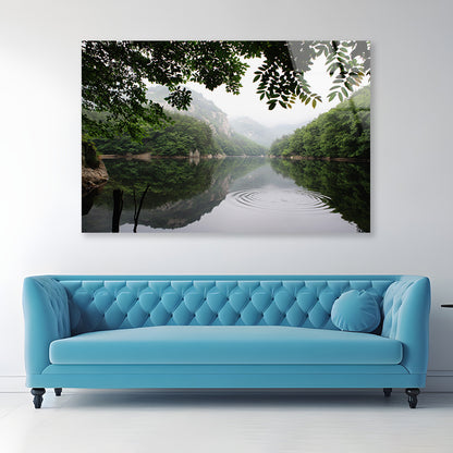 Lake in the Forest Surrounded By Trees Acrylic Glass Print Tempered Glass Wall Art 100% Made in Australia Ready to Hang