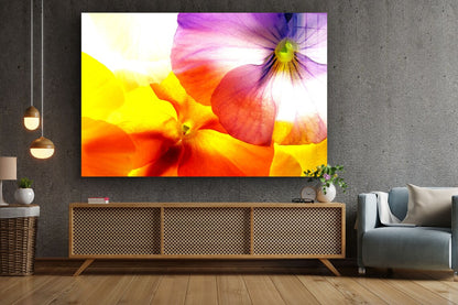 Colorful Flower Closeup UV Direct Aluminum Print Australian Made Quality