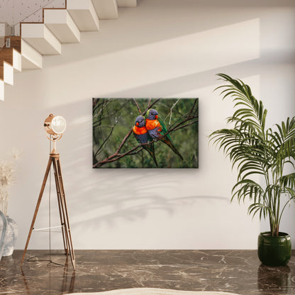 Rainbow Lorikeet Northern Queensland Wall Art Decor 100% Australian Made - Bella Home Decor