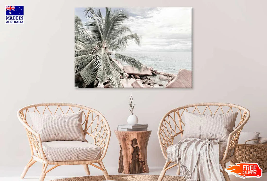 Palm Trees & Rocks near Sea View Photograph 90x60cm Print 100% Australian Made