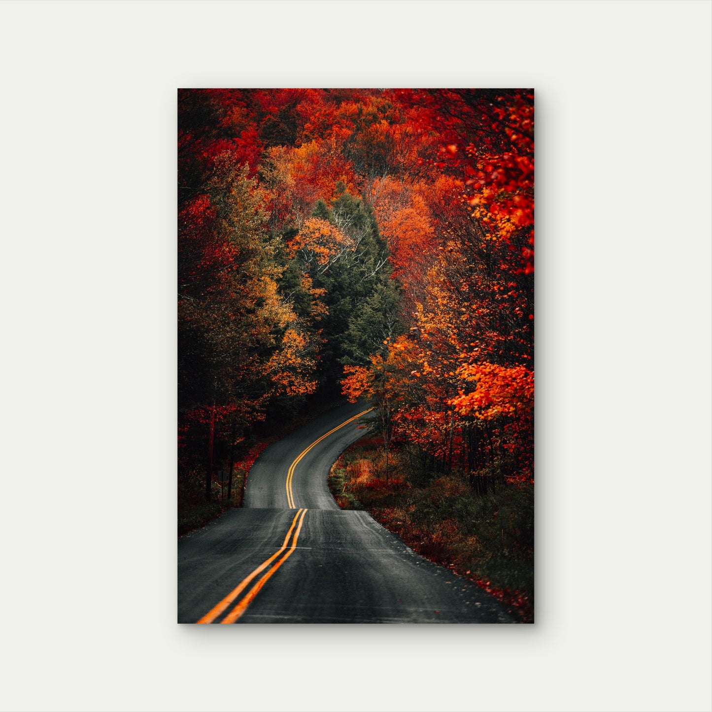 Autumn Winding Highway Forest Mountain 40x60cm Metal Print Ready to Hang