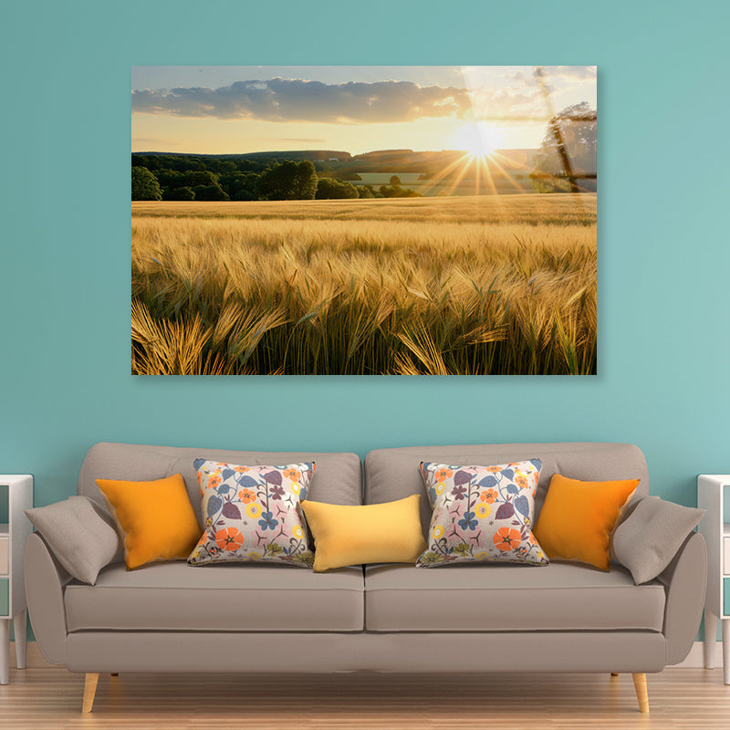 Summer with Bright and Golden Sun Meadow Acrylic Glass Print Tempered Glass Wall Art 100% Made in Australia Ready to Hang