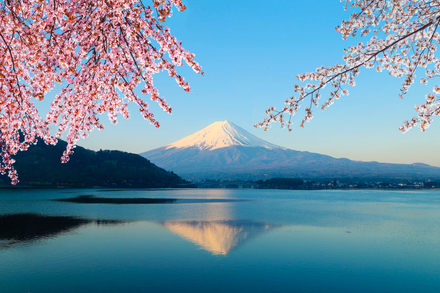 Mountain Fuji In Autumn and Clear Sky in Japan Acrylic Glass Print Tempered Glass Wall Art 100% Made in Australia Ready to Hang