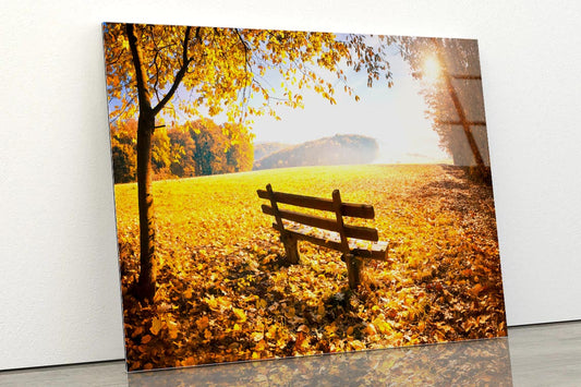 Herbstlandschaft Mit Sonnenschein Acrylic Glass Print Tempered Glass Wall Art 100% Made in Australia Ready to Hang