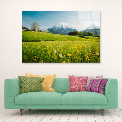 Blooming Meadows with Mountains in springtime Acrylic Glass Print Tempered Glass Wall Art 100% Made in Australia Ready to Hang