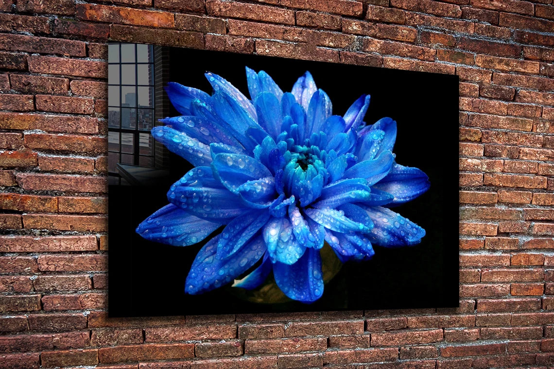 Blue Flower Bloom View UV Direct Aluminum Print Australian Made Quality