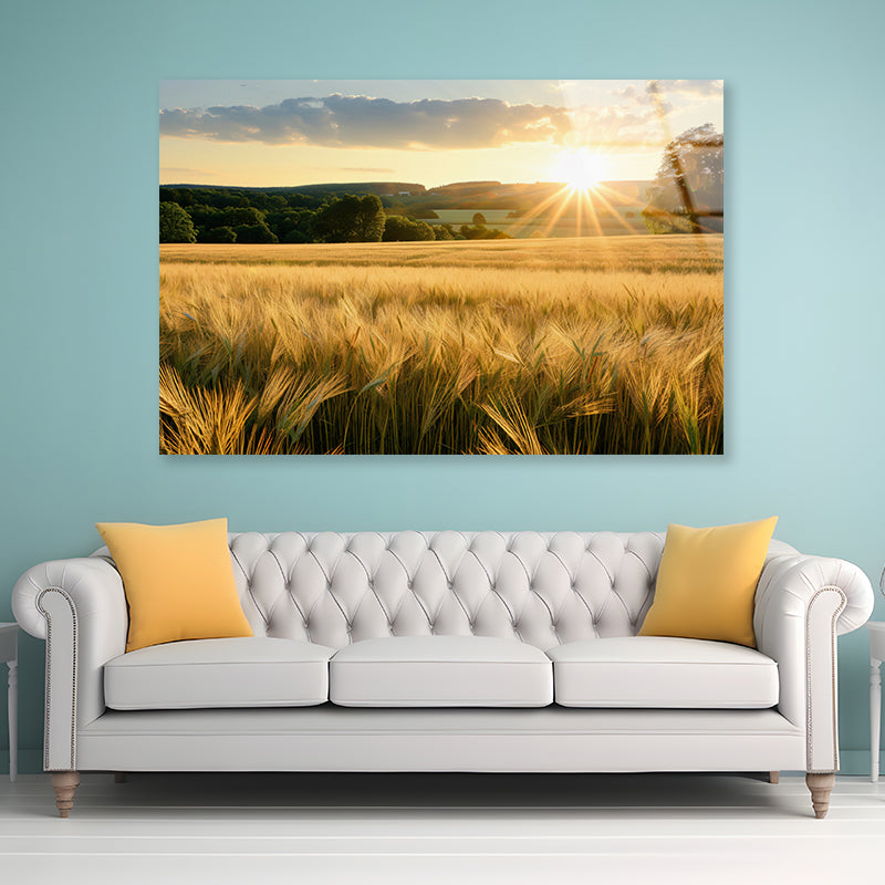 Summer with Bright and Golden Sun Meadow Acrylic Glass Print Tempered Glass Wall Art 100% Made in Australia Ready to Hang
