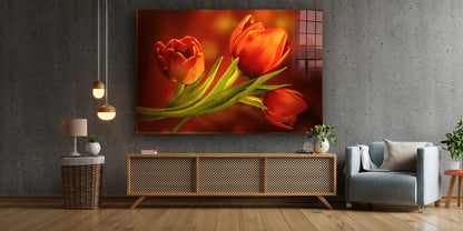 Red Orange Tulips View UV Direct Aluminum Print Australian Made Quality