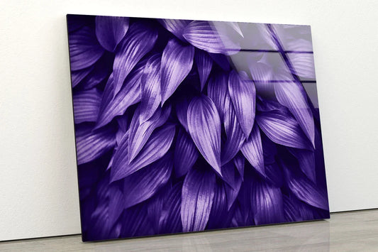 Purple Leaves Closeup UV Direct Aluminum Print Australian Made Quality