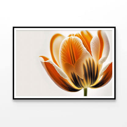 Tulips in Close-Up View Home Decor Premium Quality Poster Print Choose Your Sizes