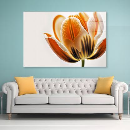 Tulips in Close-Up View Acrylic Glass Print Tempered Glass Wall Art 100% Made in Australia Ready to Hang - Bella Home Decor