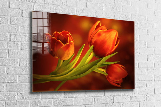 Red Orange Tulips View UV Direct Aluminum Print Australian Made Quality