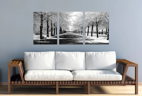 3pcs Black and White Tree Path Winter Scenery Wall Art Set Canvas Unframed - High Quality Print 100% Australian Made Wall Canvas - Bella Home Decor