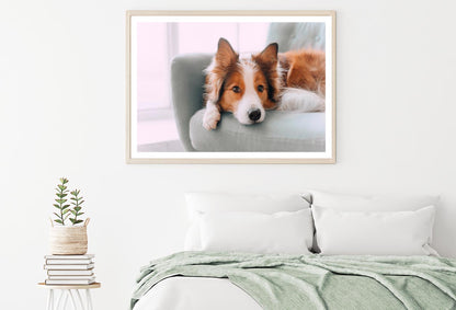 Dog Is Laying on A Blue Chair Home Decor Premium Quality Poster Print Choose Your Sizes