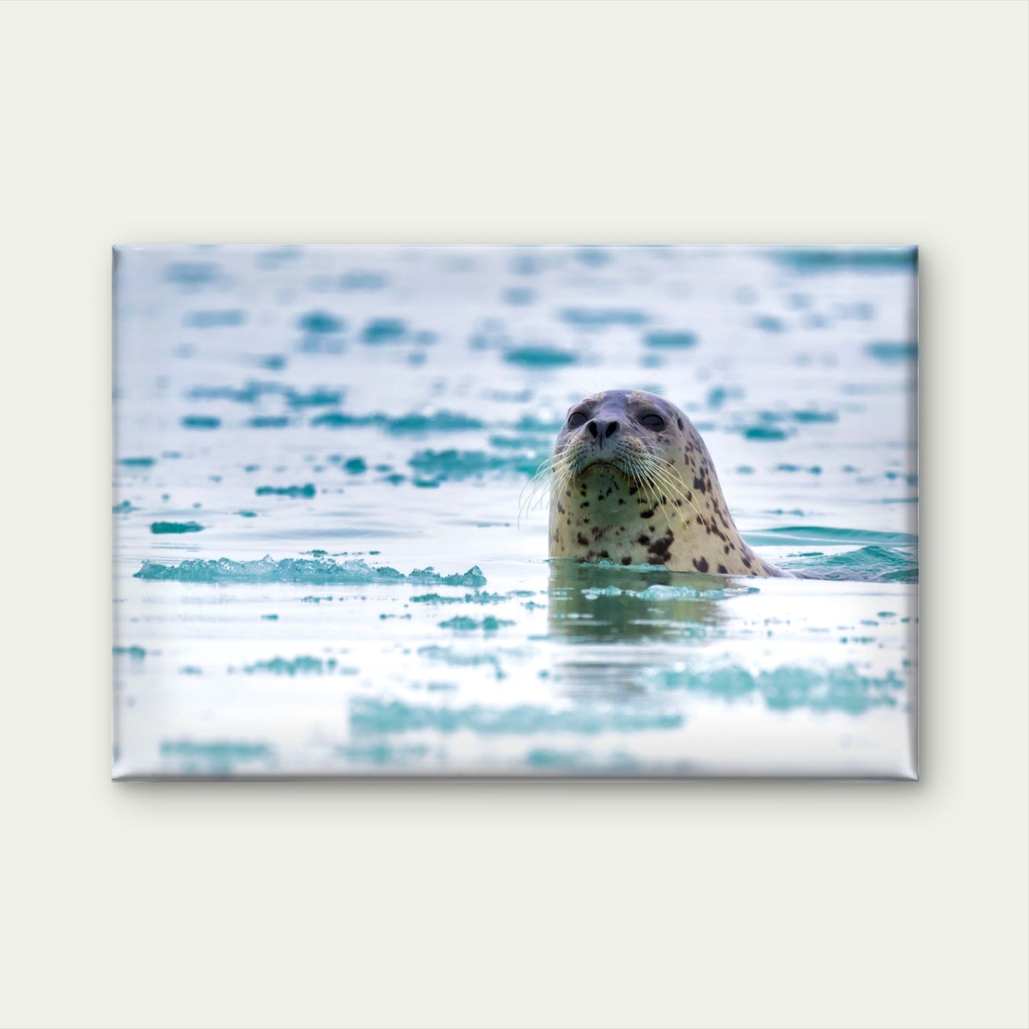 Spotted Harbour Seal in Arctic Icy Waters Wall Art Decor 100% Australian Made - Bella Home Decor