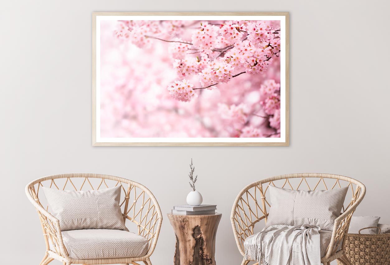 Cherry Blossom In Full BloomHome Decor Premium Quality Poster Print Choose Your Sizes